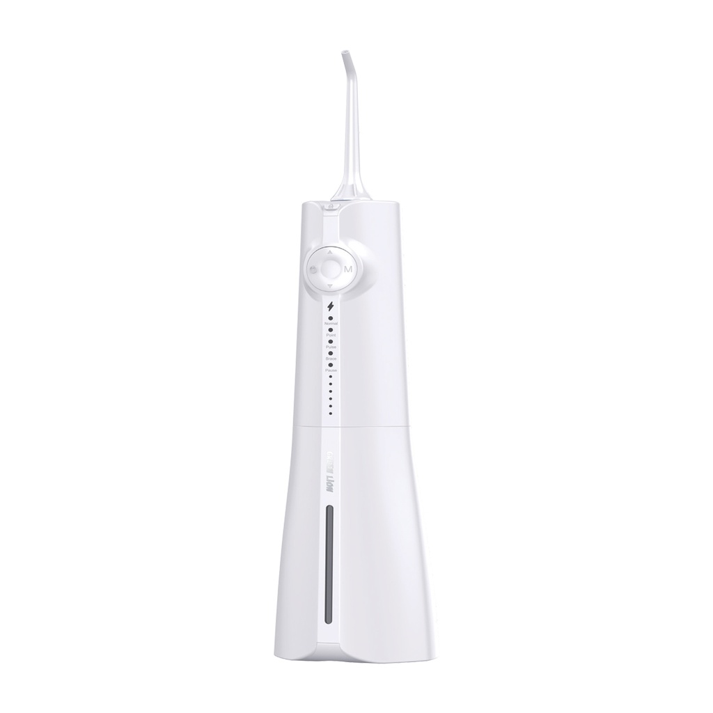 Green Lion Portable Oral Irrigator 300ML - واتر جت دهانشوی گرین لاین